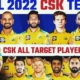 cricket team Chennai Super Kings