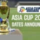 cricket asia cup 2022